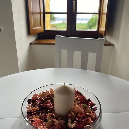 El Campo 卡斯特罗波尔