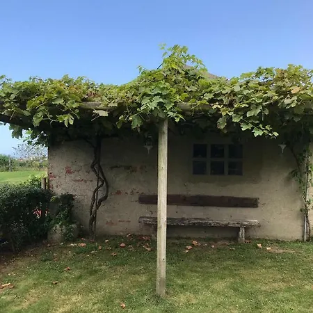 El Campo *
